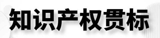 知識產(chǎn)權(quán)貫標(biāo)認(rèn)證機(jī)構(gòu) 知識產(chǎn)權(quán)貫標(biāo)各地資助政策